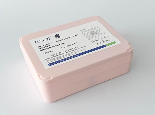 貓鼻腔粘膜成纖維細胞(NMF)原代細胞