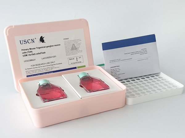 貓鼻腔粘膜成纖維細胞(NMF)原代細胞