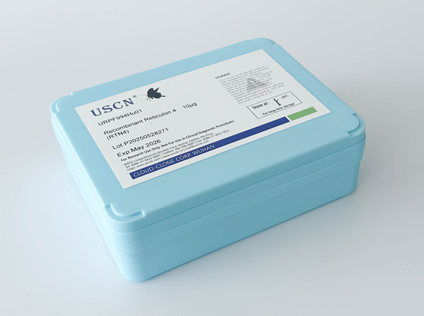 轉(zhuǎn)化受體電位陽(yáng)離子通道亞家族V成員1(TRPV1)重組蛋白