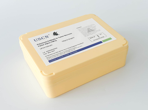 鈣同線蛋白2(CLSTN2)多克隆抗體