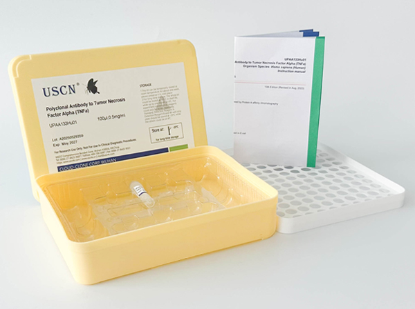 鈣同線蛋白2(CLSTN2)多克隆抗體